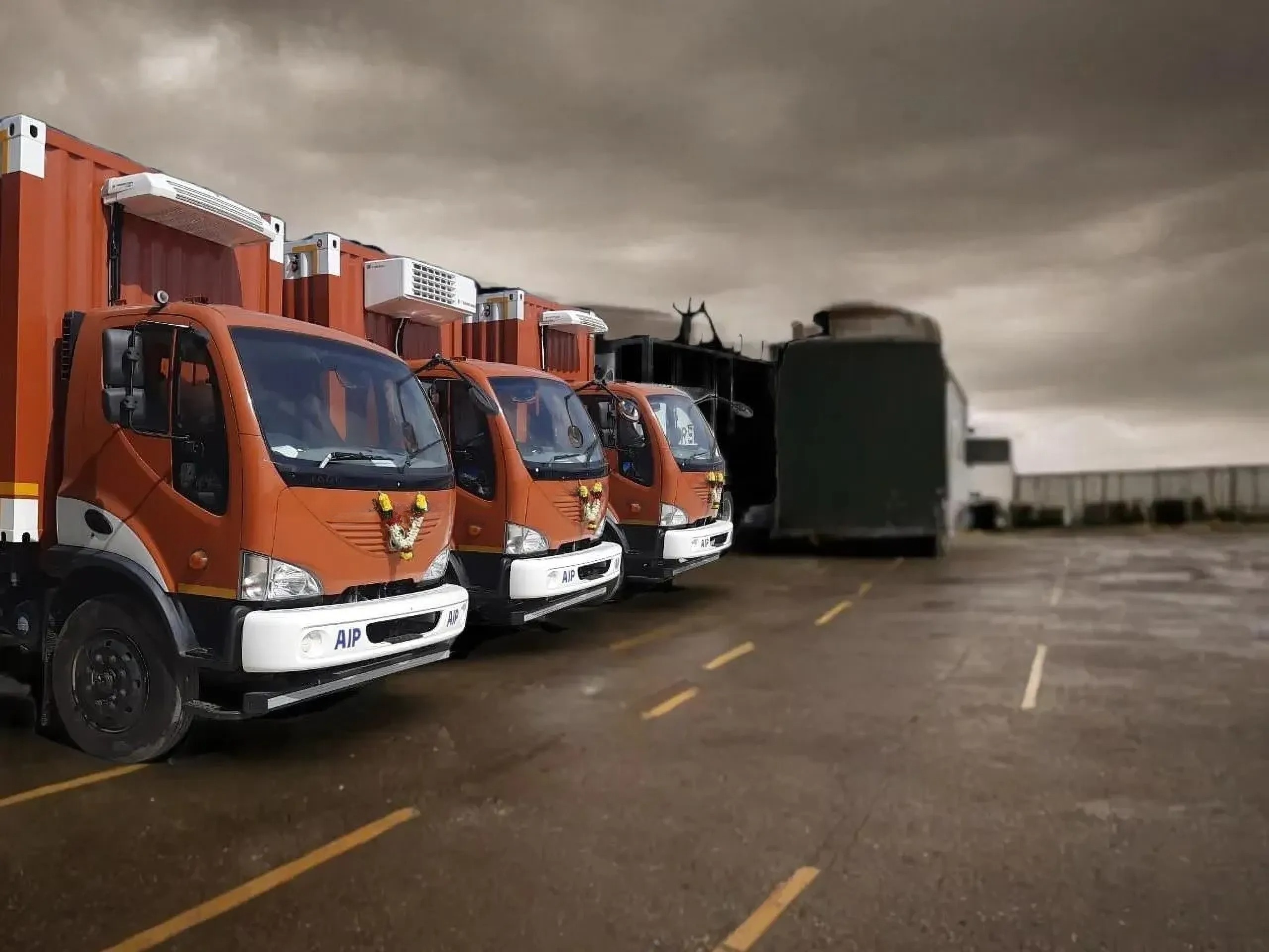 Steel Corrugated Reefer Container